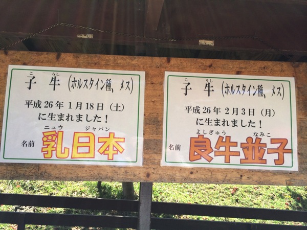 IMG 2576,六甲山牧場