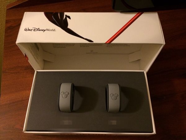 Disney World, Disneyland, DisneySEA, ワンス・アポン・ア・タイム, ウィッシュ, Wishes