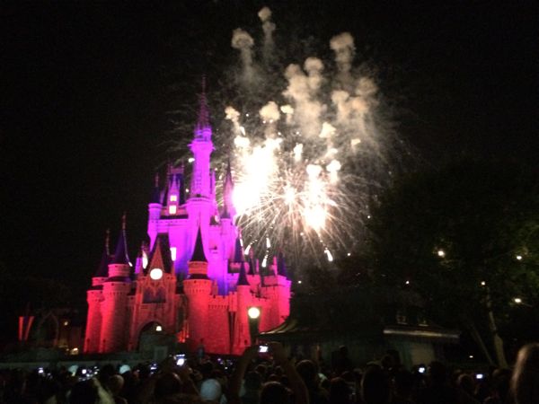 Disney World, Disneyland, DisneySEA, ワンス・アポン・ア・タイム, ウィッシュ, Wishes