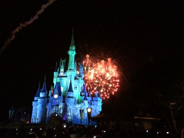 Disney World, Disneyland, DisneySEA, ワンス・アポン・ア・タイム, ウィッシュ, Wishes