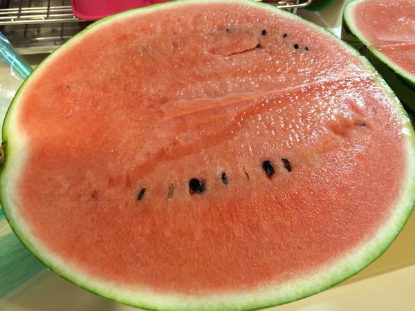 布津,西瓜,スイカ,布津スイカ,肥後浪漫