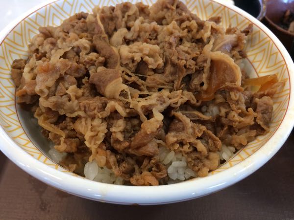 すき家,牛丼,健康セット