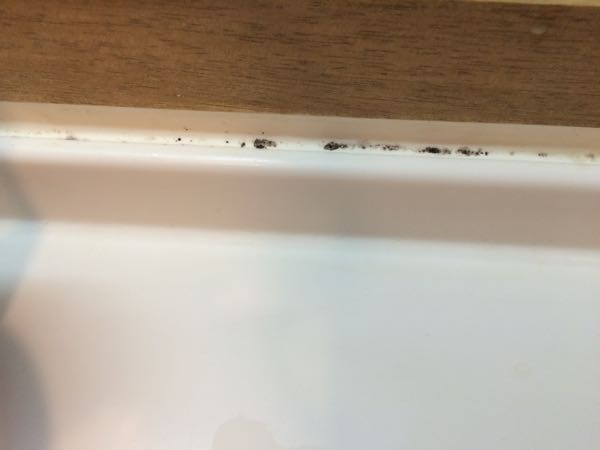 カビトルデス,ゴムパッキン,カビ,キッチン,掃除
